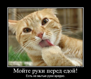 ab88032db0844e7d84d31fdbeee7d224.jpg ab88032db0844e7d84d31fdbeee7d224.jpg